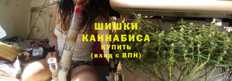 darknet какой сайт  Алзамай  Конопля SATIVA & INDICA  MEGA как зайти 